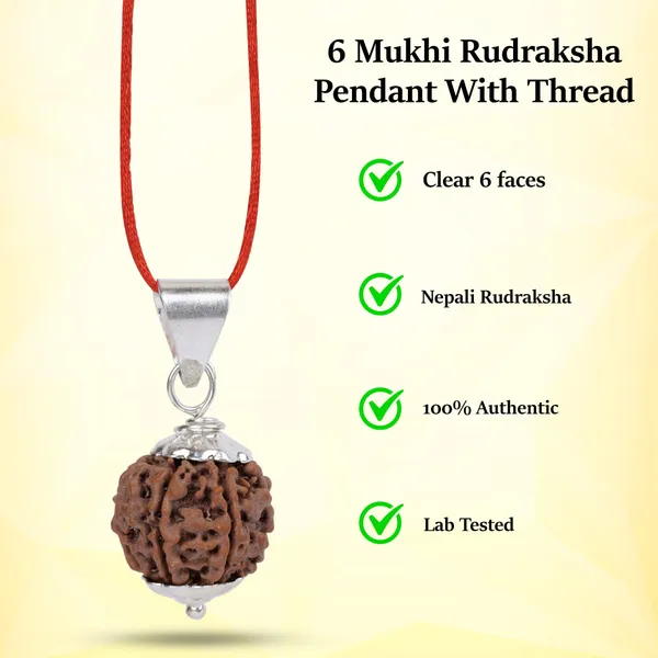 6_Mukhi_Rudraksha_Pendant_With_Thread